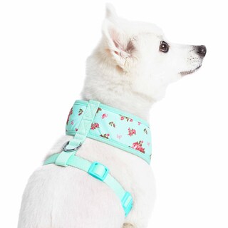Foto 4 | Harness Blueberry Pet, Suave Y Cómodo Aroma Primaveral Para Perro - Venta Internacional.