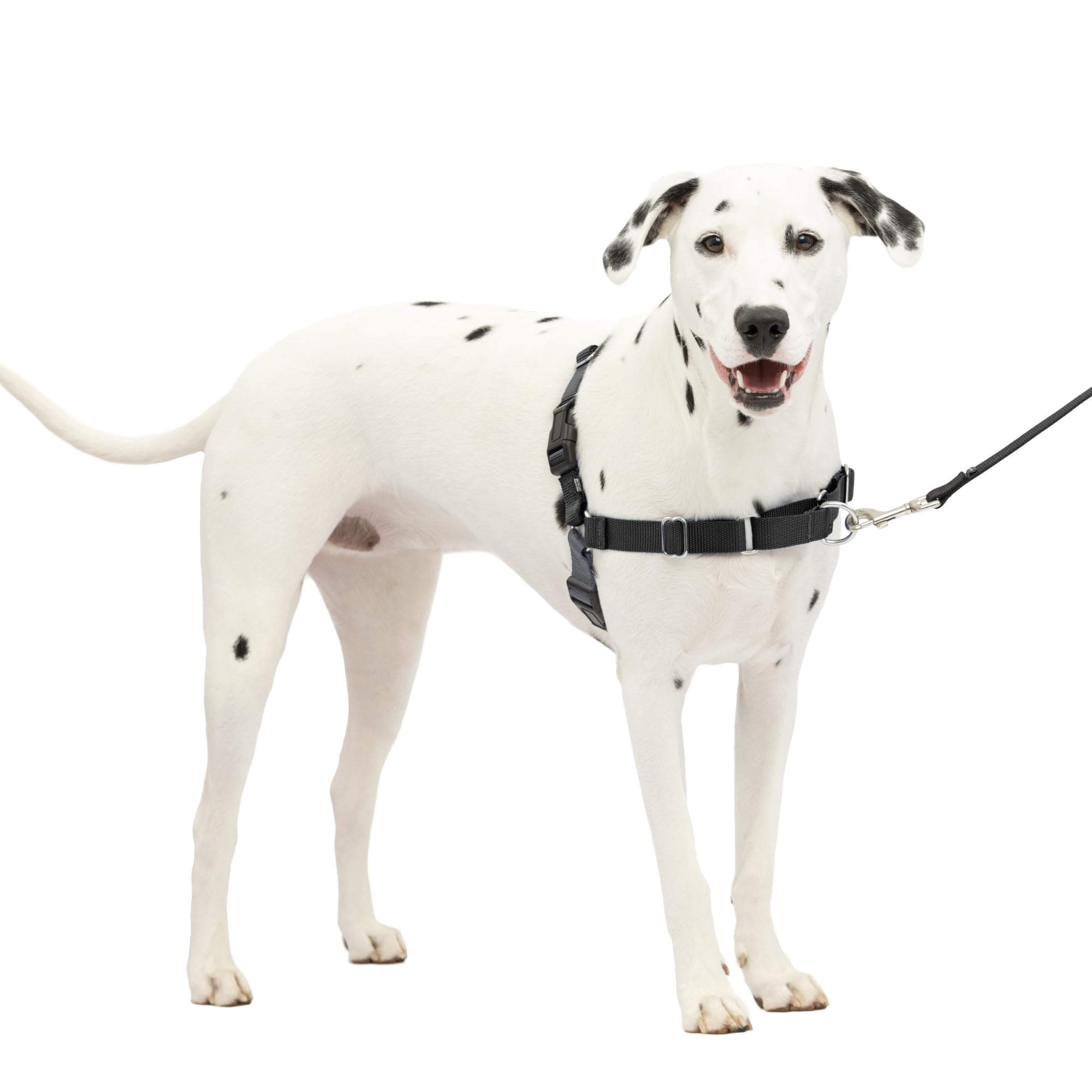 Foto 1 | Arnés Para Perros Petsafe Easy Walk, Sin Tirones, Tamaño Medio/grande - Venta Internacional.