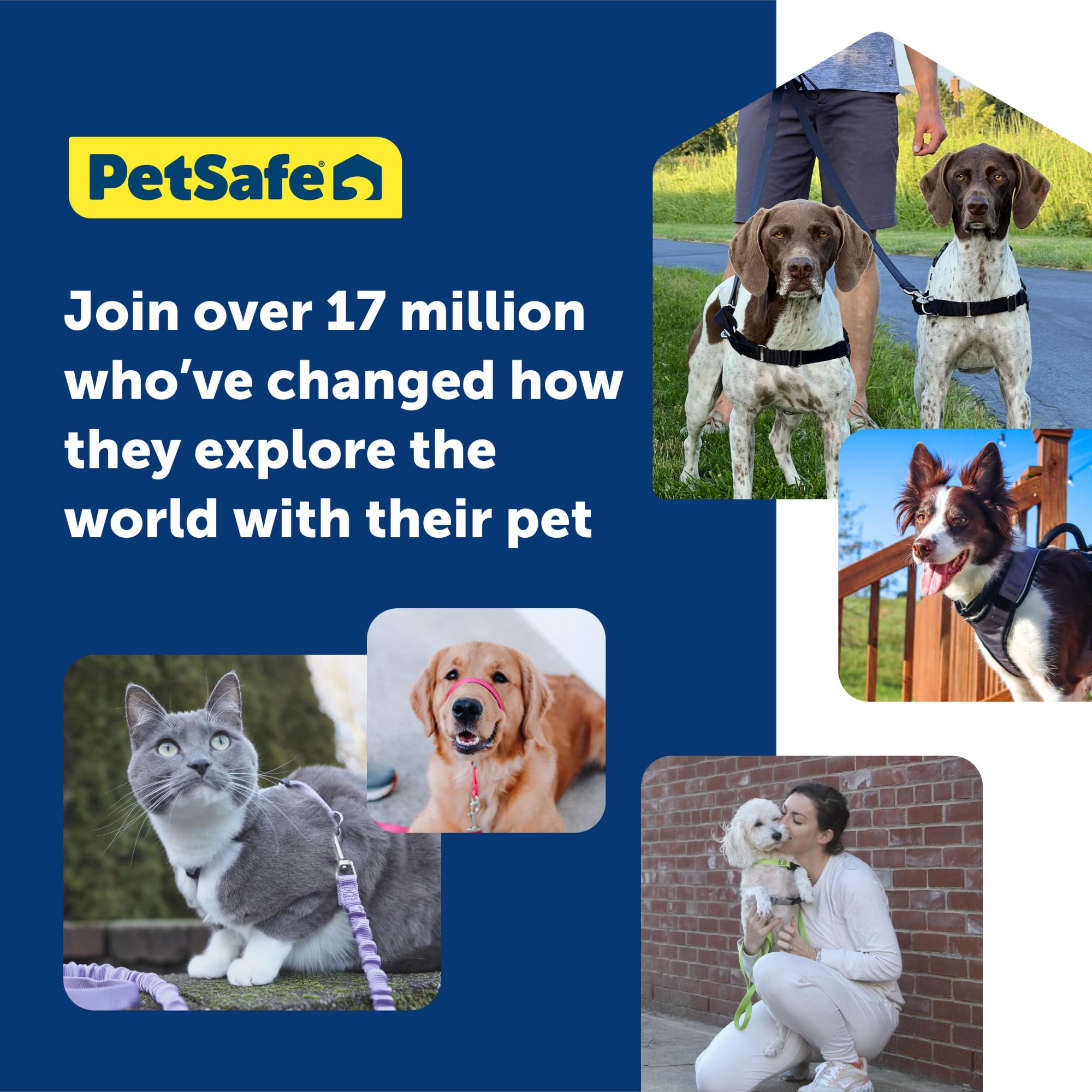 Foto 6 | Arnés Para Perros Petsafe Easy Walk, Sin Tirones, Tamaño Medio/grande - Venta Internacional.