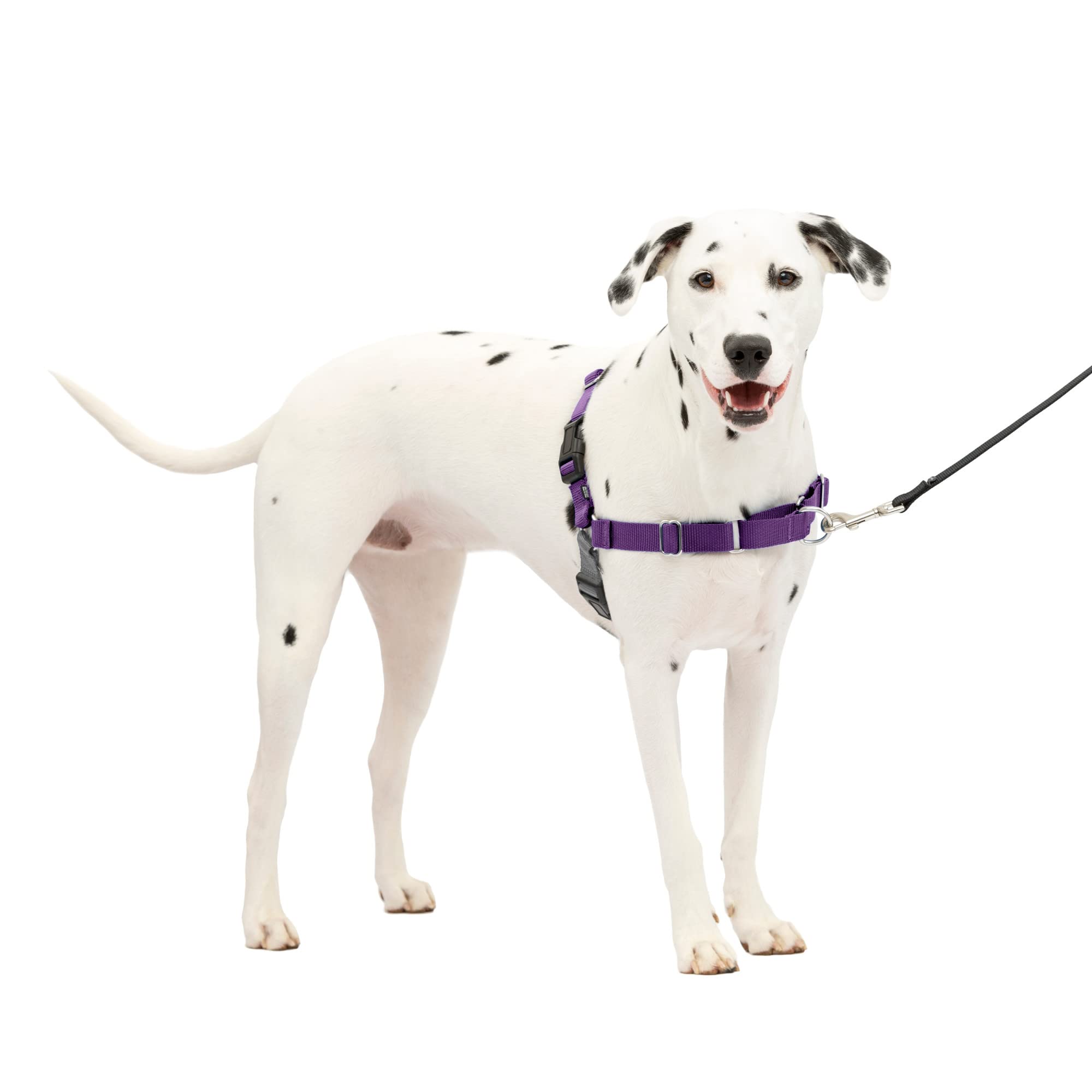 Arnés Para Perros Petsafe Easy Walk, Sin Tirones, Tamaño Medio/grande, Morado - Venta Internacional.