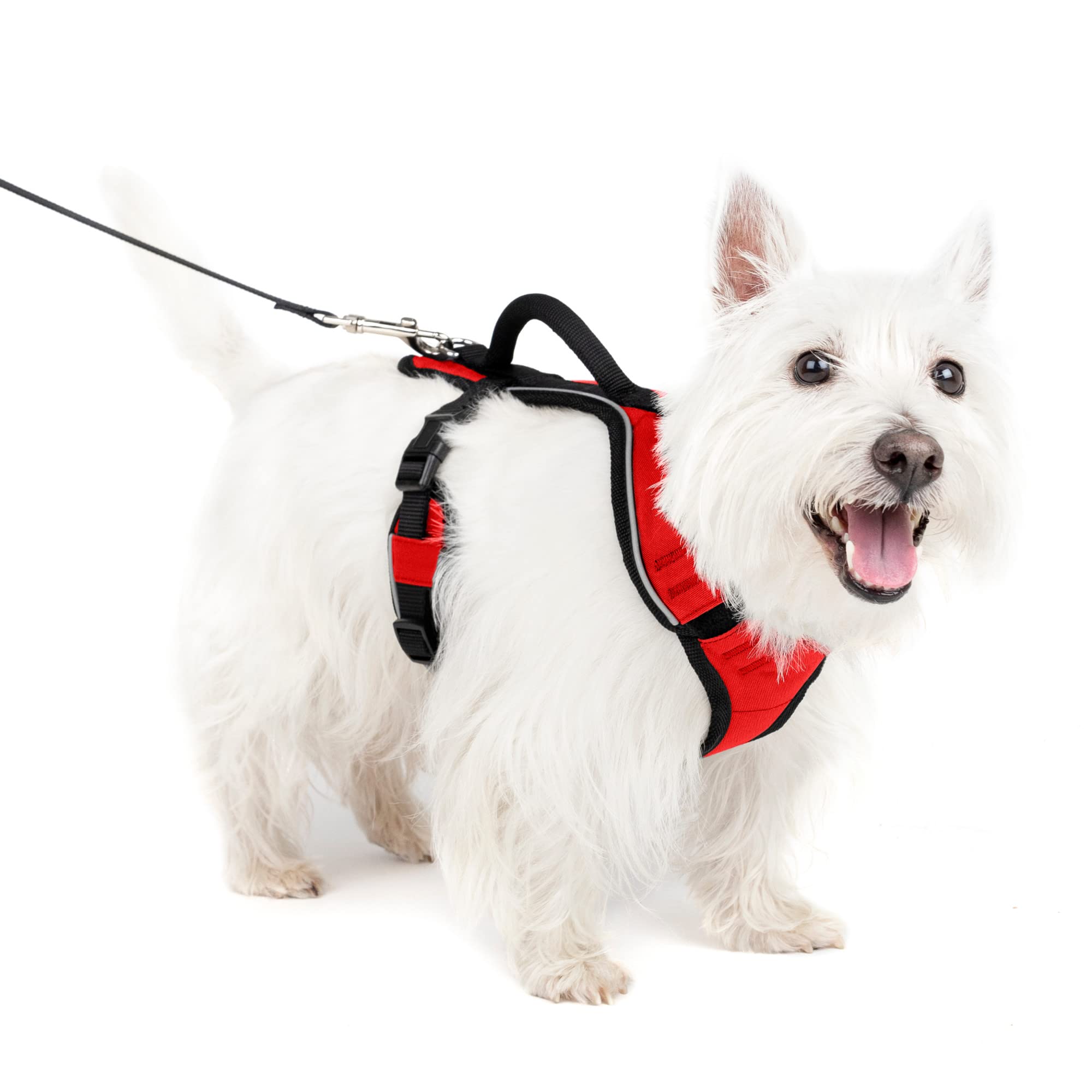Arnés Para Perros Petsafe Easysport Ajustable, Acolchado Con Asa - Venta Internacional.