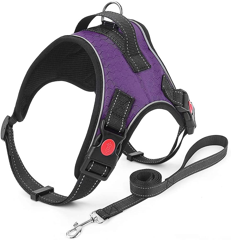 Foto 6 pulgar | Juego De Arnés Y Correa Para Perros, Sin Tirones, Transpirable Y Ajustable - Venta Internacional.