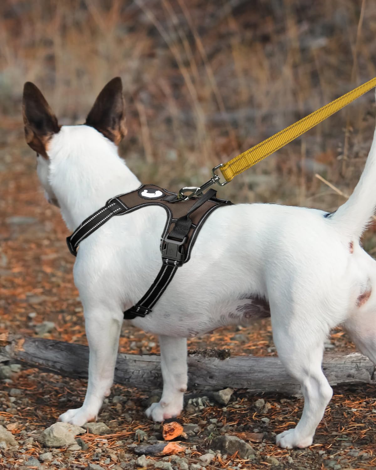 Foto 3 | Correa Para Perros Joytale De Nailon Reflectante De Doble Cara, 6 Pies/1,8 M - Venta Internacional.