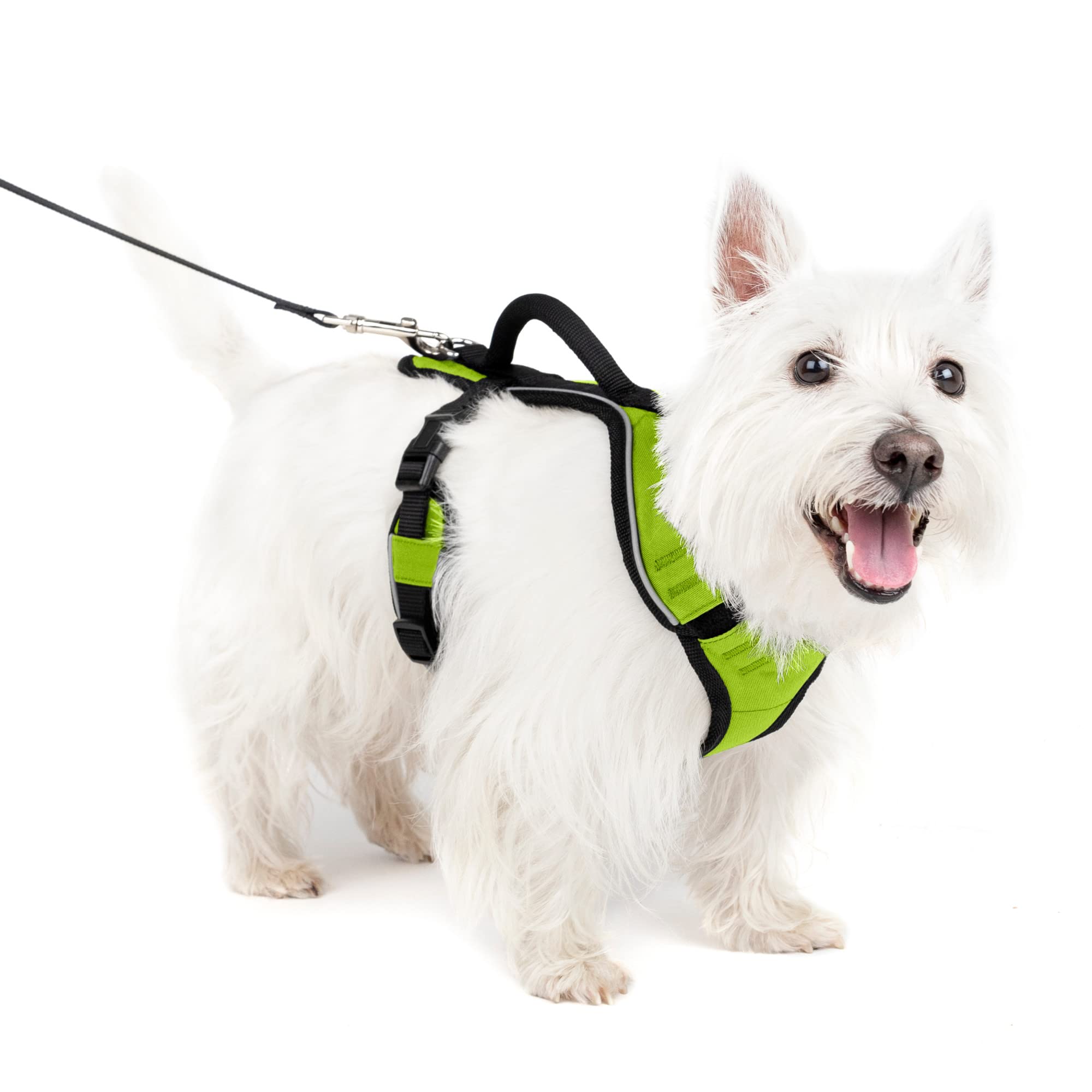 Arnés Para Perros Petsafe Easysport Ajustable Con Mango De Control - Venta Internacional.