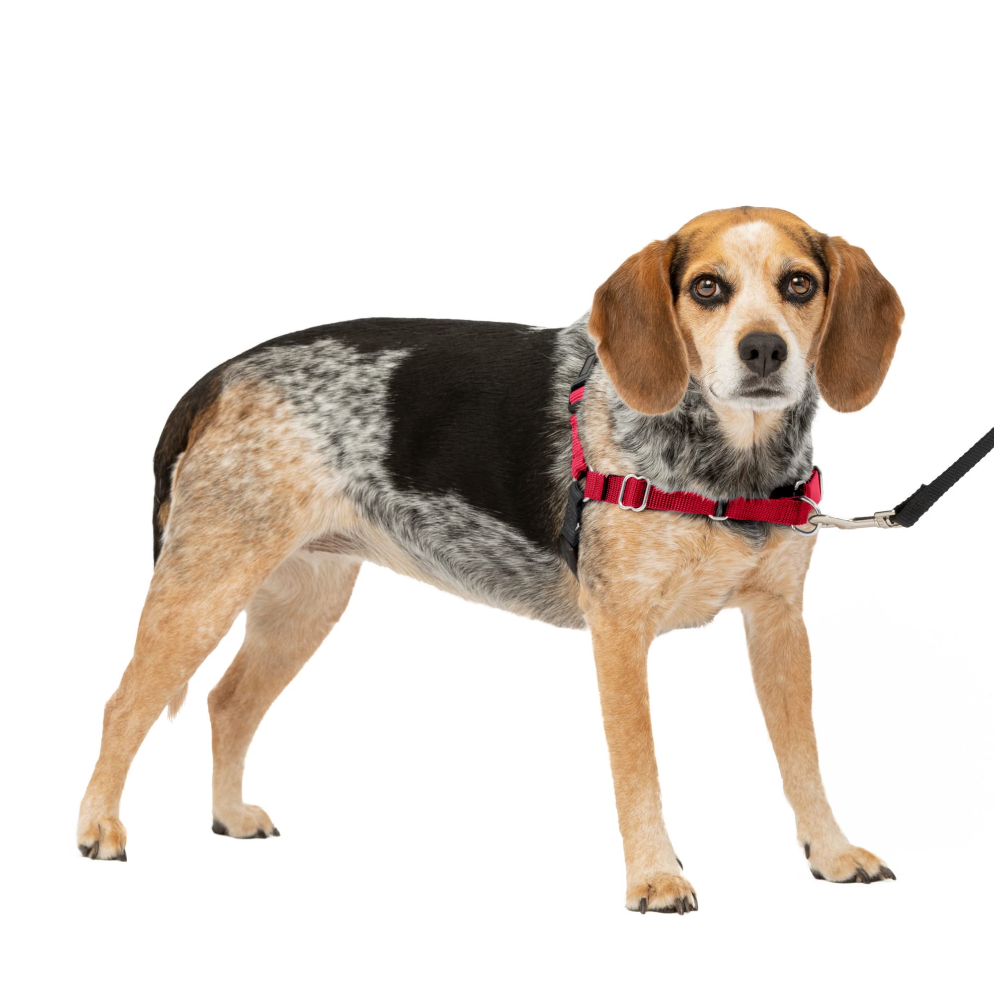 Arnés Para Perros Petsafe Easy Walk No-pull, Tamaño Pequeño/mediano, Rojo Y Negro - Venta Internacional.