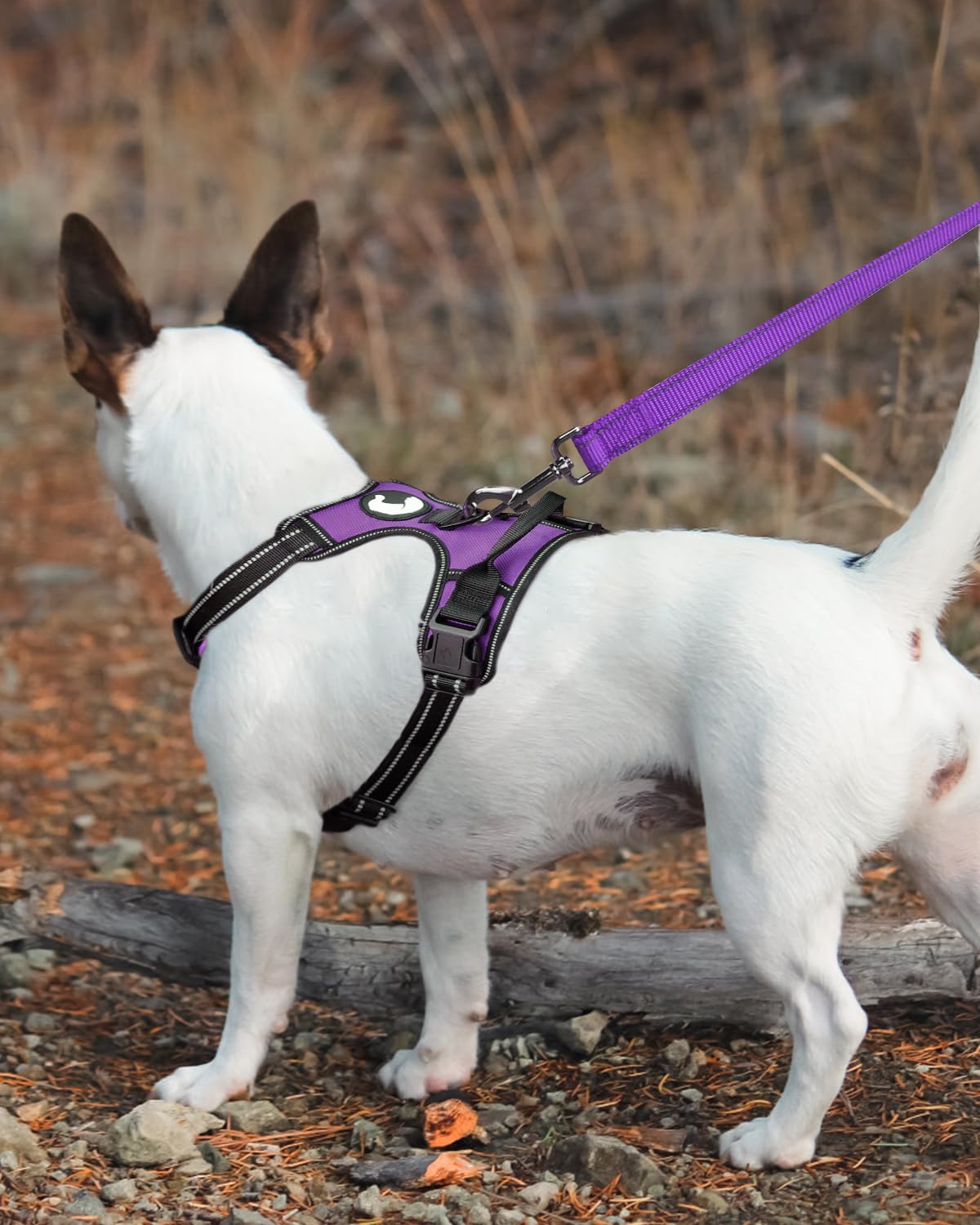 Foto 3 | Correa Para Perros Joytale De Nailon Reflectante De Doble Cara, 6 Pies - Venta Internacional.
