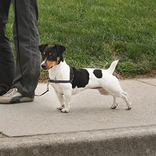 Foto 4 pulgar | Arnés Para Perros Petsafe Easy Walk Deluxe, Sin Tirón, Pequeño - Venta Internacional.