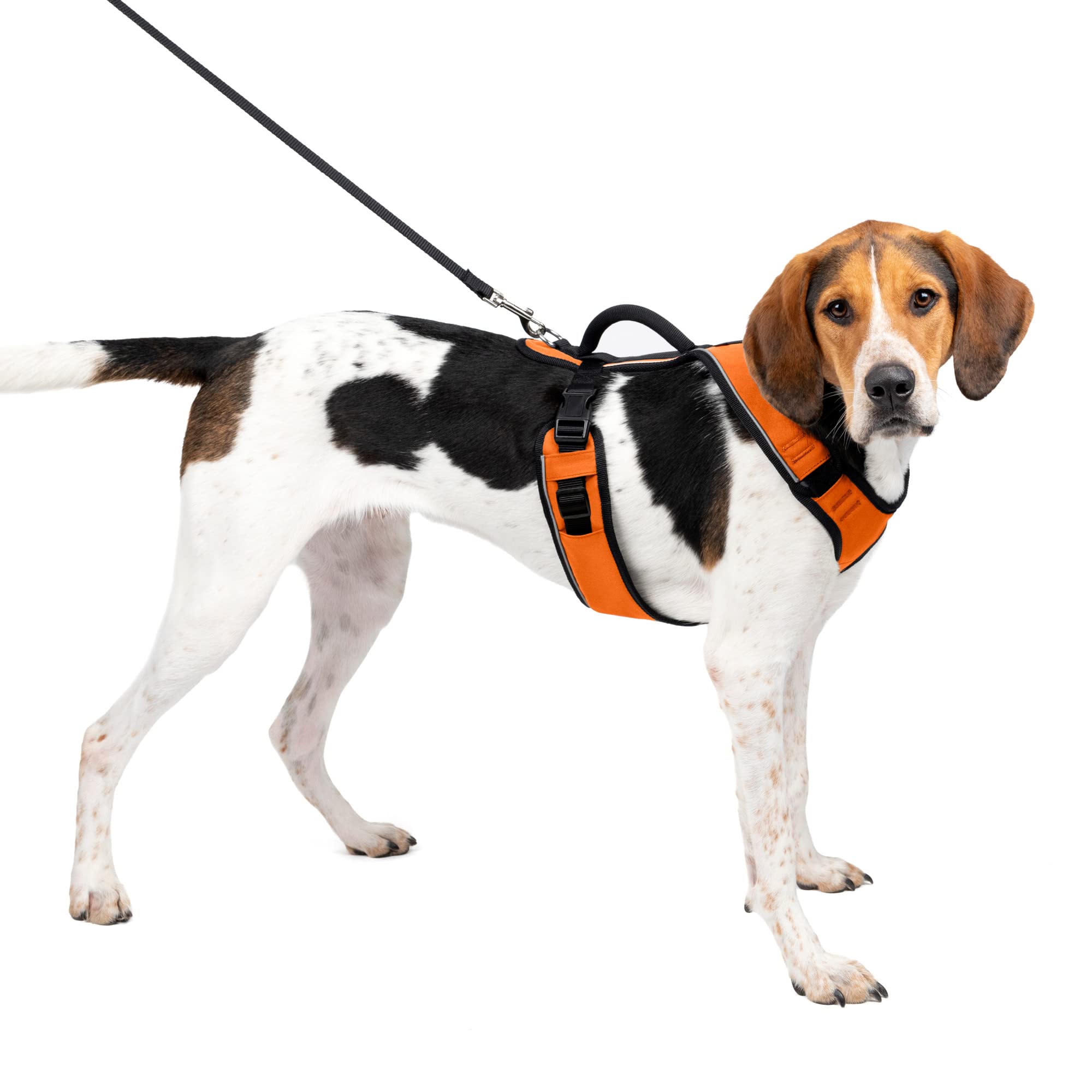 Arnés Para Perros Petsafe Easysport Ajustable, Acolchado, Naranja, Grande - Venta Internacional.