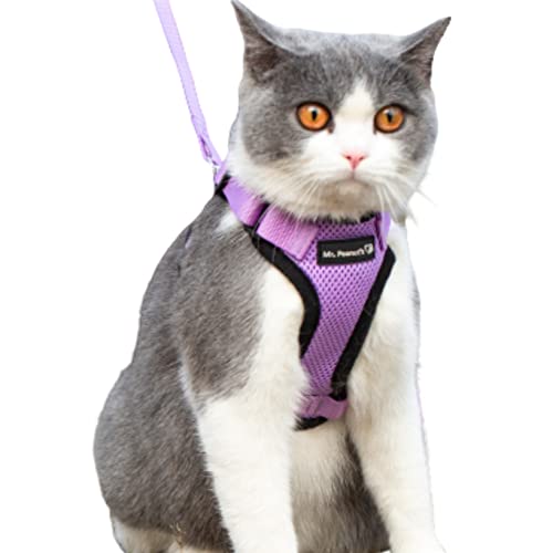 El Arnés Reflectante Para Gatos Purrtrek De Mr. Peanut Con Juego - Venta Internacional.