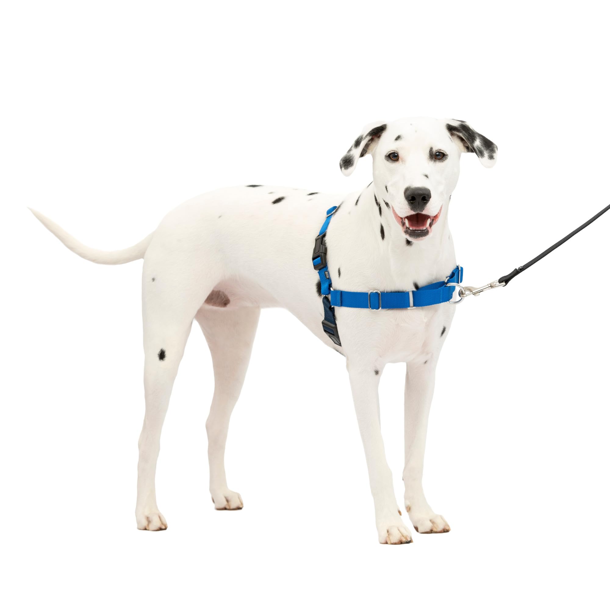 Arnés Para Perros Petsafe Easy Walk, Sin Tirones, Tamaño Medio/grande, Azul - Venta Internacional.