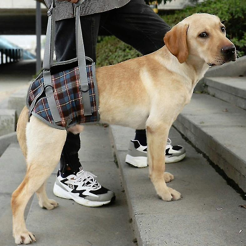 Foto 1 | Cinturón Auxiliar Para Perros Ancianos Discapacitados Lesionados Con Correas Para Piernas - Venta Internacional.