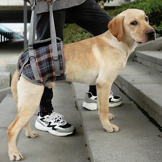 Foto 1 | Cinturón Auxiliar Para Perros Ancianos Discapacitados Lesionados Con Correas Para Piernas - Venta Internacional.