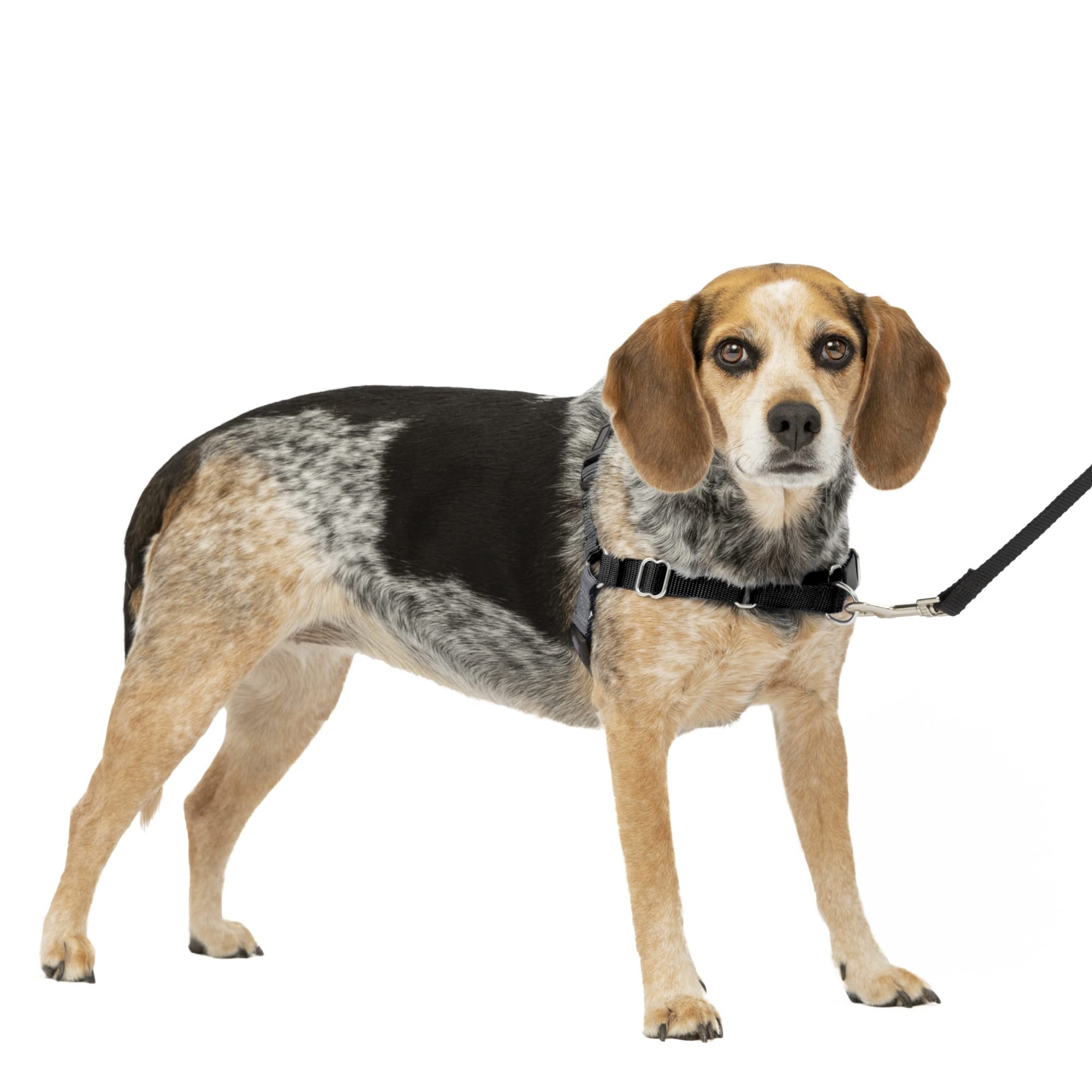 Arnés Para Perros Petsafe Easy Walk, Sin Tirar, Tamaño Pequeño/mediano - Venta Internacional.