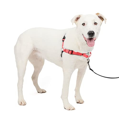 Foto 5 pulgar | Arnés Para Perros Petsafe Easy Walk Deluxe No Pull Rose Red - Venta Internacional.