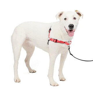 Foto 4 | Arnés Para Perros Petsafe Easy Walk Deluxe No Pull Rose Red - Venta Internacional.