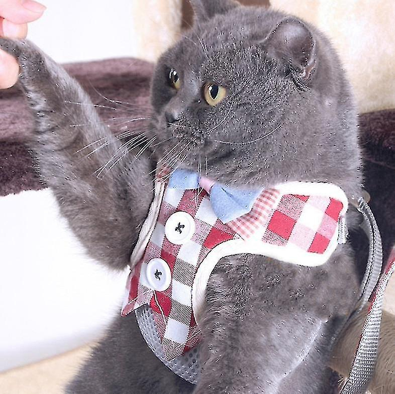 Arnés De Pecho Con Cuerda De Tracción Para Mascotas, Chaleco Antirotura Tipo Sm - Venta Internacional.