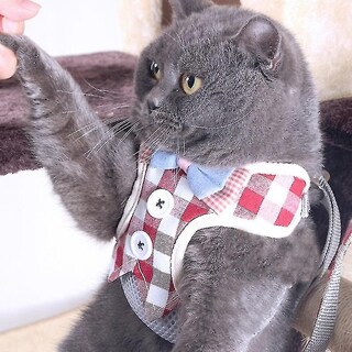 Foto 1 | Arnés De Pecho Con Cuerda De Tracción Para Mascotas, Chaleco Antirotura Tipo Sm - Venta Internacional.