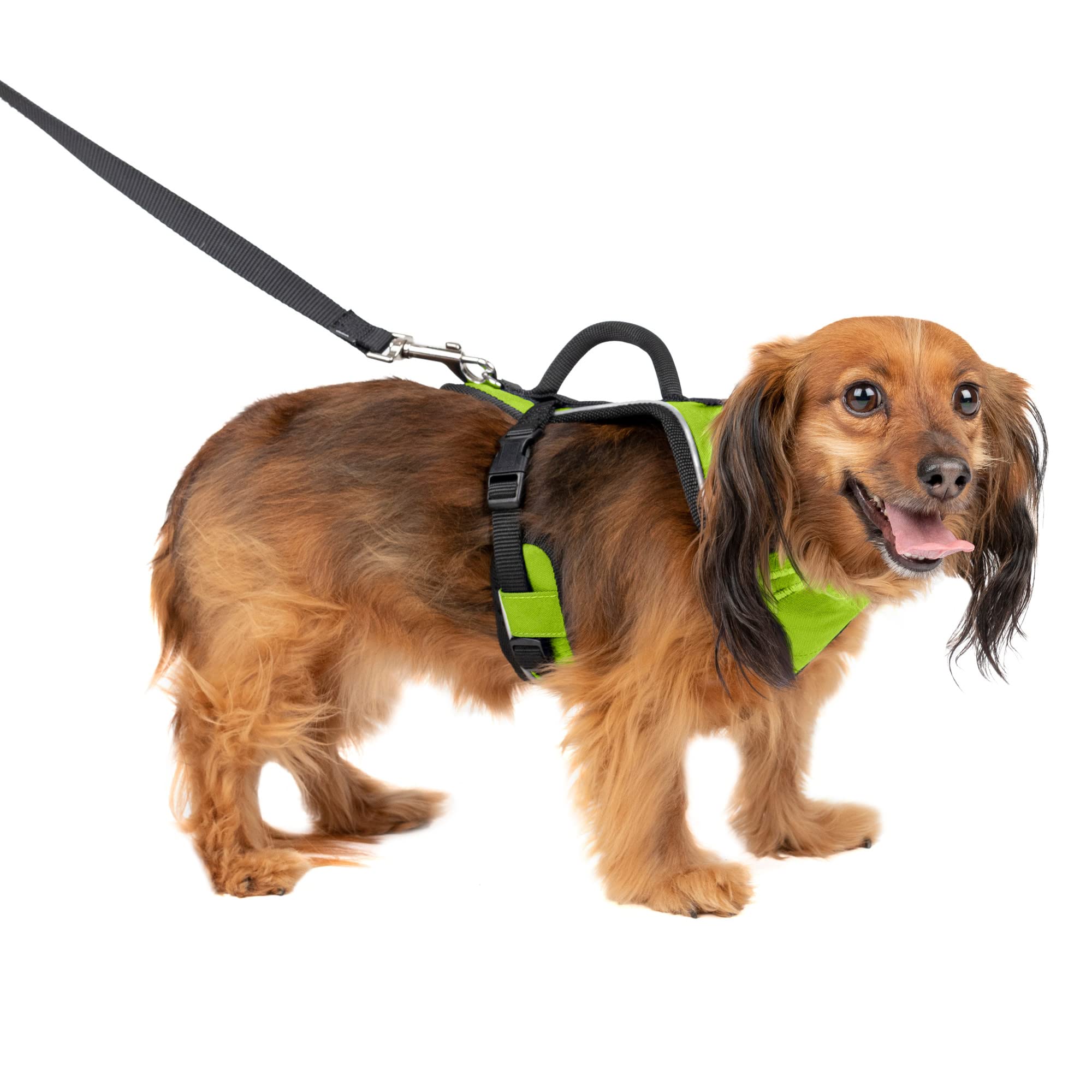 Arnés Para Perros Petsafe Easysport Ajustable Extrapequeño - Venta Internacional.