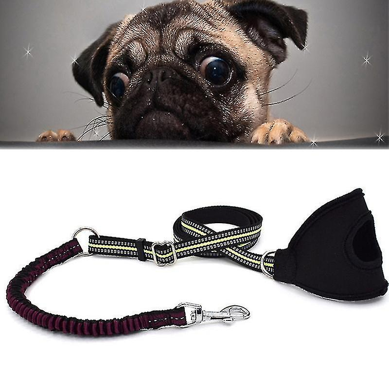 Foto 1 | Correa Reflectante De Nailon Con Forma De Jaula Para Pájaros, Baños, Mascotas, Perros, Talla Xl - Venta Internacional.