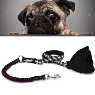 Foto 1 | Correa Reflectante De Nailon Con Forma De Jaula Para Pájaros, Baños, Mascotas, Perros, Talla Xl - Venta Internacional.