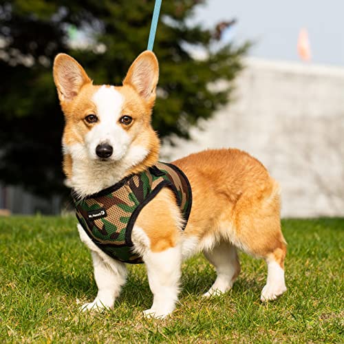 Mr. Peanut's Puptrek Small Dog/cat Soft Mesh Step En Harne - Venta Internacional.
