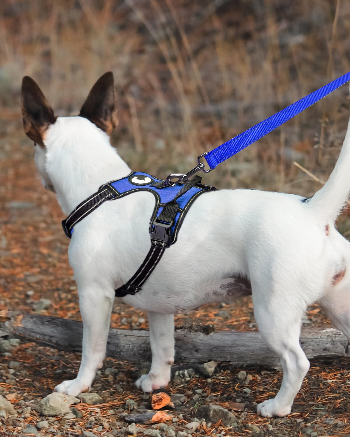 Foto 3 | Correa Para Perros Joytale De Nailon Reflectante De Doble Cara, 6 Pies/1,8 M - Venta Internacional.