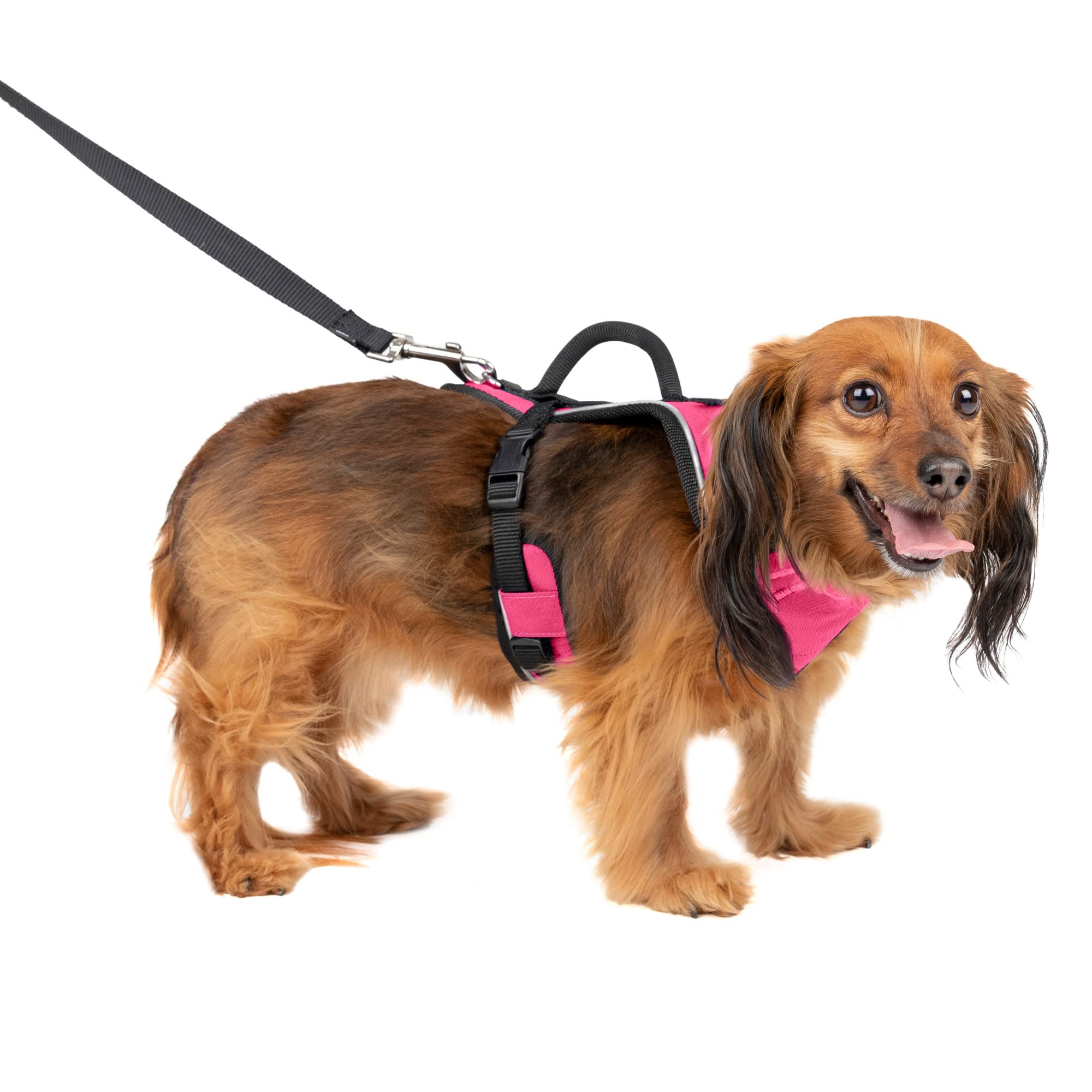 Arnés Para Perros Petsafe Easysport Rosa Extra Pequeño - Venta Internacional.