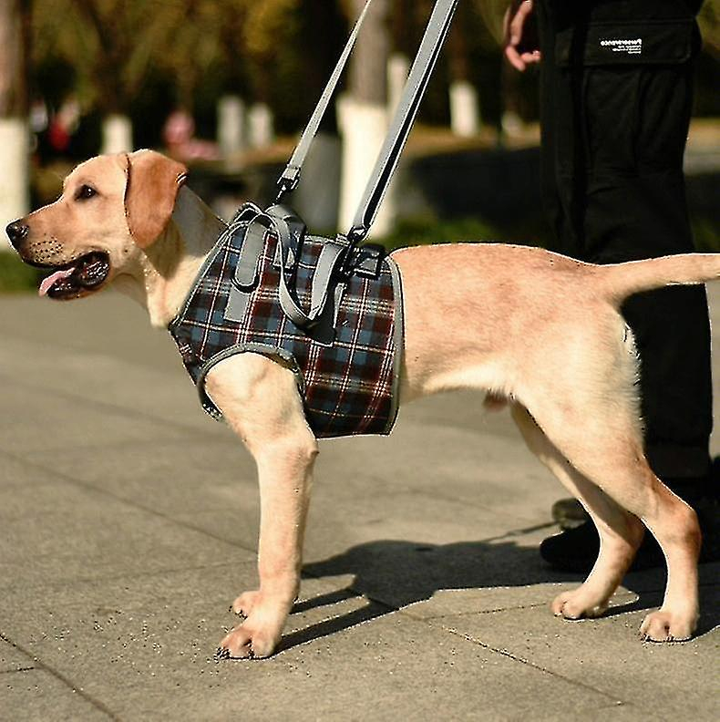 Foto 2 pulgar | Cinturón Auxiliar Para Perros Ancianos Discapacitados Lesionados Con Correas Para Piernas - Venta Internacional.