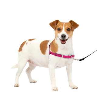 Foto 1 | Arnés Para Perros Petsafe Easy Walk, Sin Tirar, Pequeño, Color Frambuesa Y Gris - Venta Internacional.
