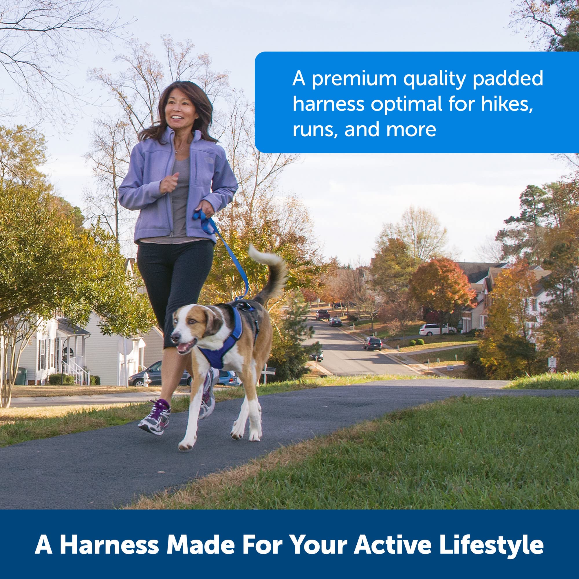 Foto 5 | Arnés Petsafe Easysport Con Correas Acolchadas Ajustables Para Perros - Venta Internacional.