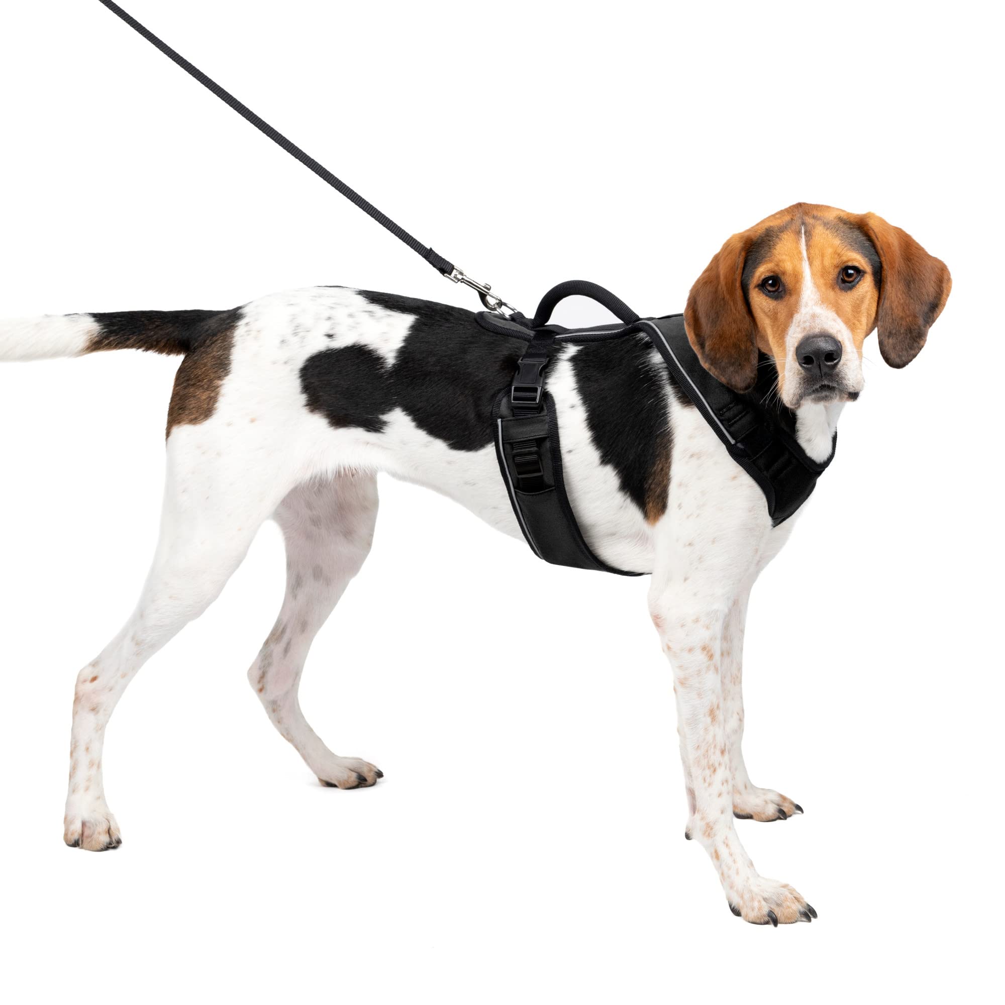 Arnés Para Perros Petsafe Easysport Ajustable, Acolchado, Negro, Grande - Venta Internacional.