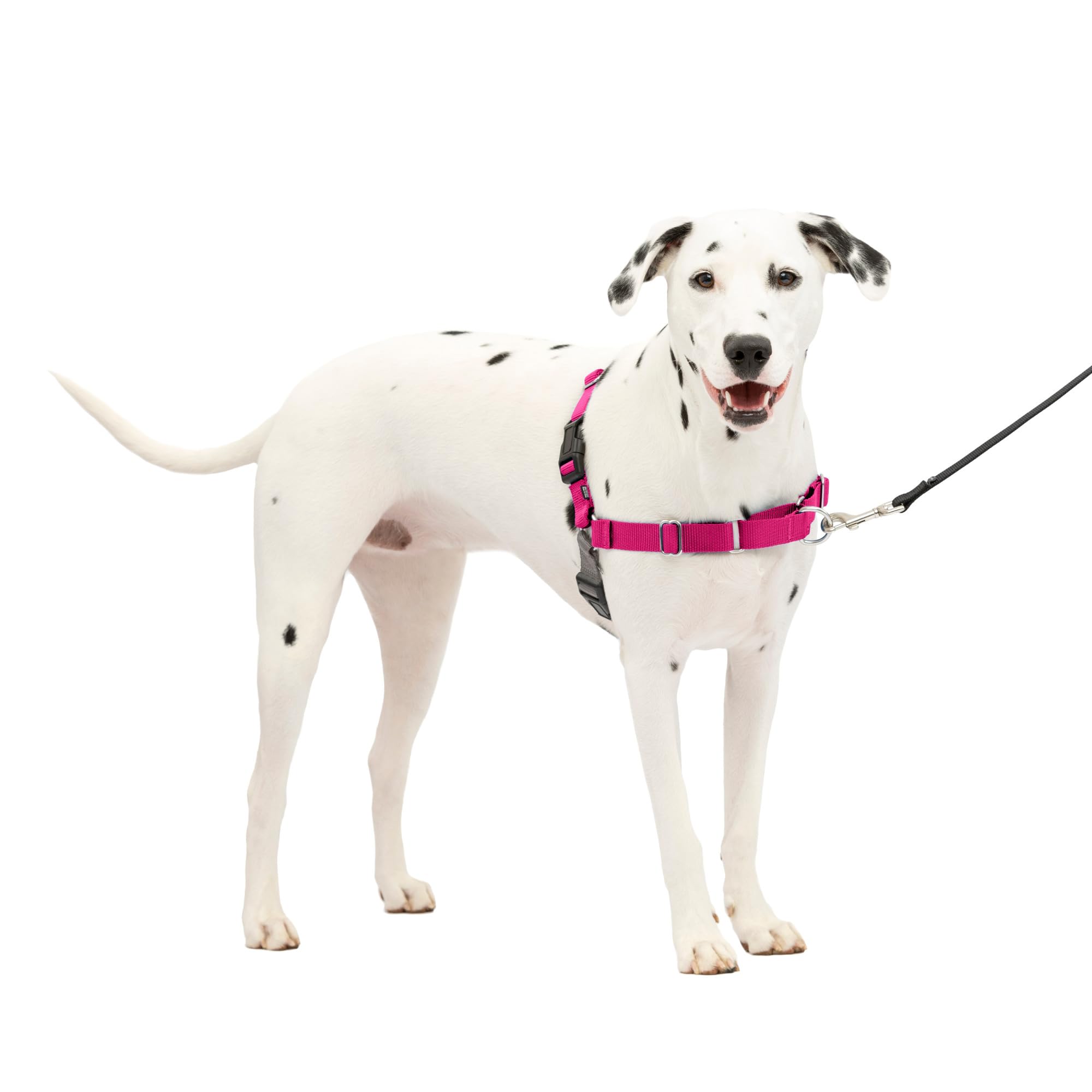 Arnés Para Perros Petsafe Easy Walk Stop Pulling Raspberry M/l - Venta Internacional.