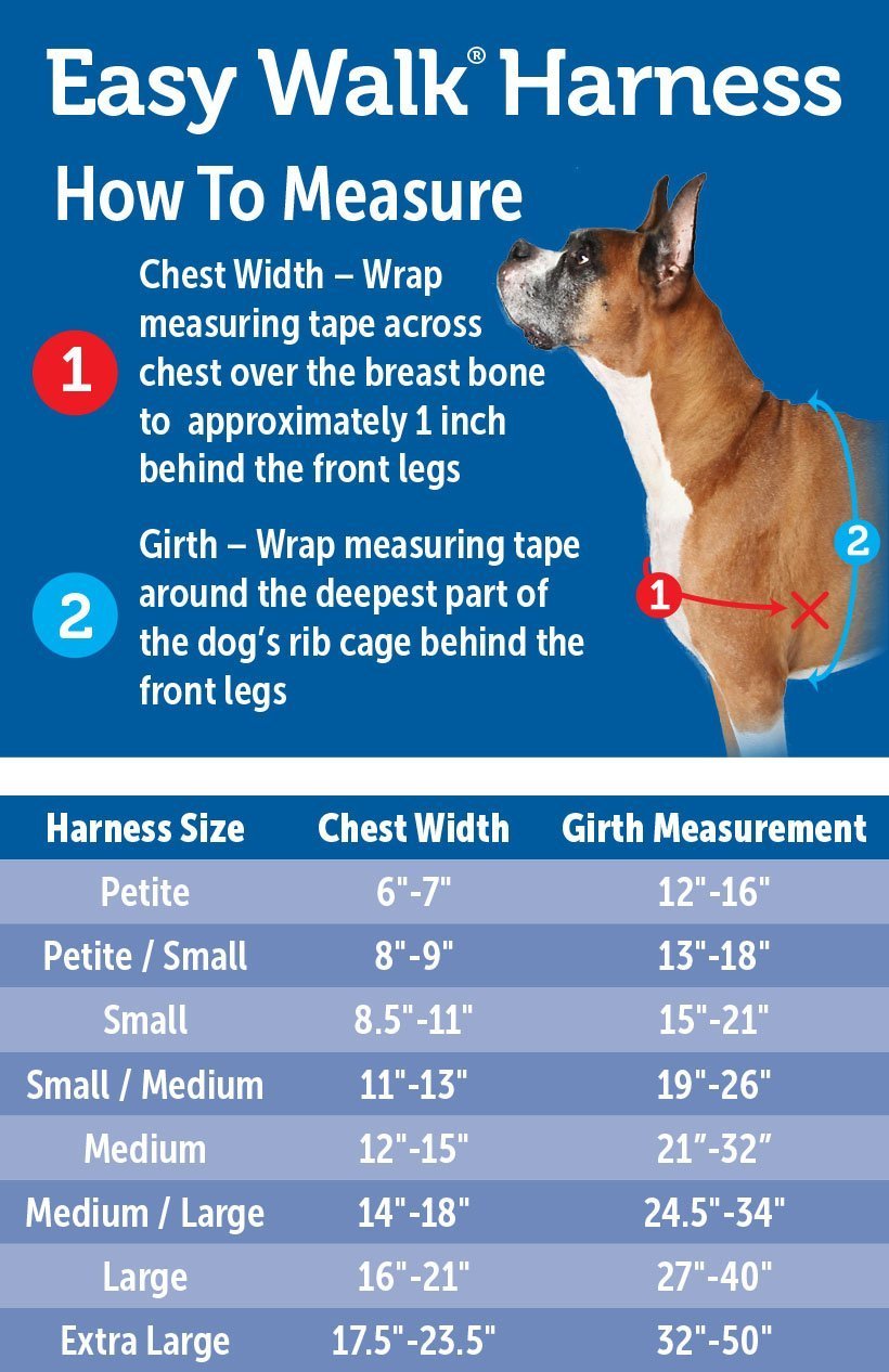 Foto 4 pulgar | Arnés Para Perros Petsafe Easy Walk No-pull Small, Azul - Venta Internacional.