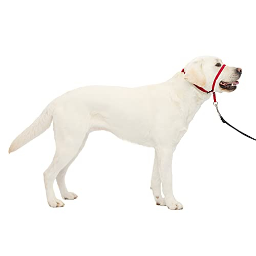 Collar De Cabeza Petsafe Gentle Leader No-pull Para Perro, Rojo, Grande - Venta Internacional.