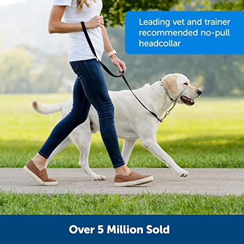Foto 4 pulgar | Collar De Cabeza Petsafe Gentle Leader No-pull Para Perro, Rojo, Grande - Venta Internacional.
