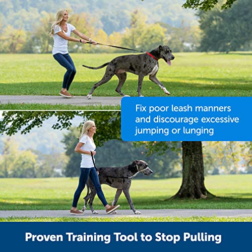 Foto 6 pulgar | Collar De Cabeza Petsafe Gentle Leader No-pull Para Perro, Rojo, Grande - Venta Internacional.