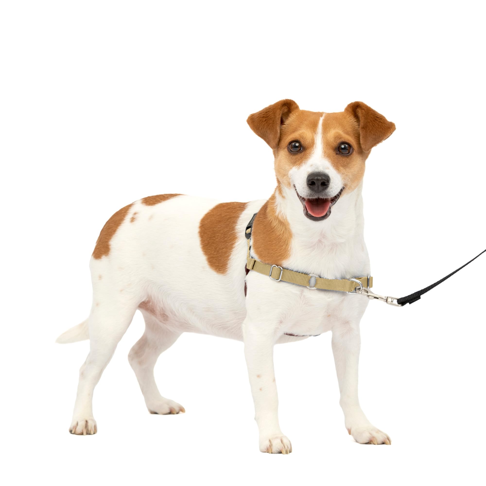 Arnés Petsafe Easy Walk Para Perros Pequeños, Color Marrón - Venta Internacional.