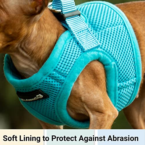 Foto 4 pulgar | Mr. Peanut's Puptrek Small Dog/cat Soft Mesh Step En Harne - Venta Internacional.