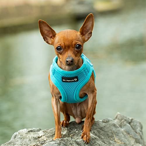 Mr. Peanut's Puptrek Small Dog/cat Soft Mesh Step En Harne - Venta Internacional.