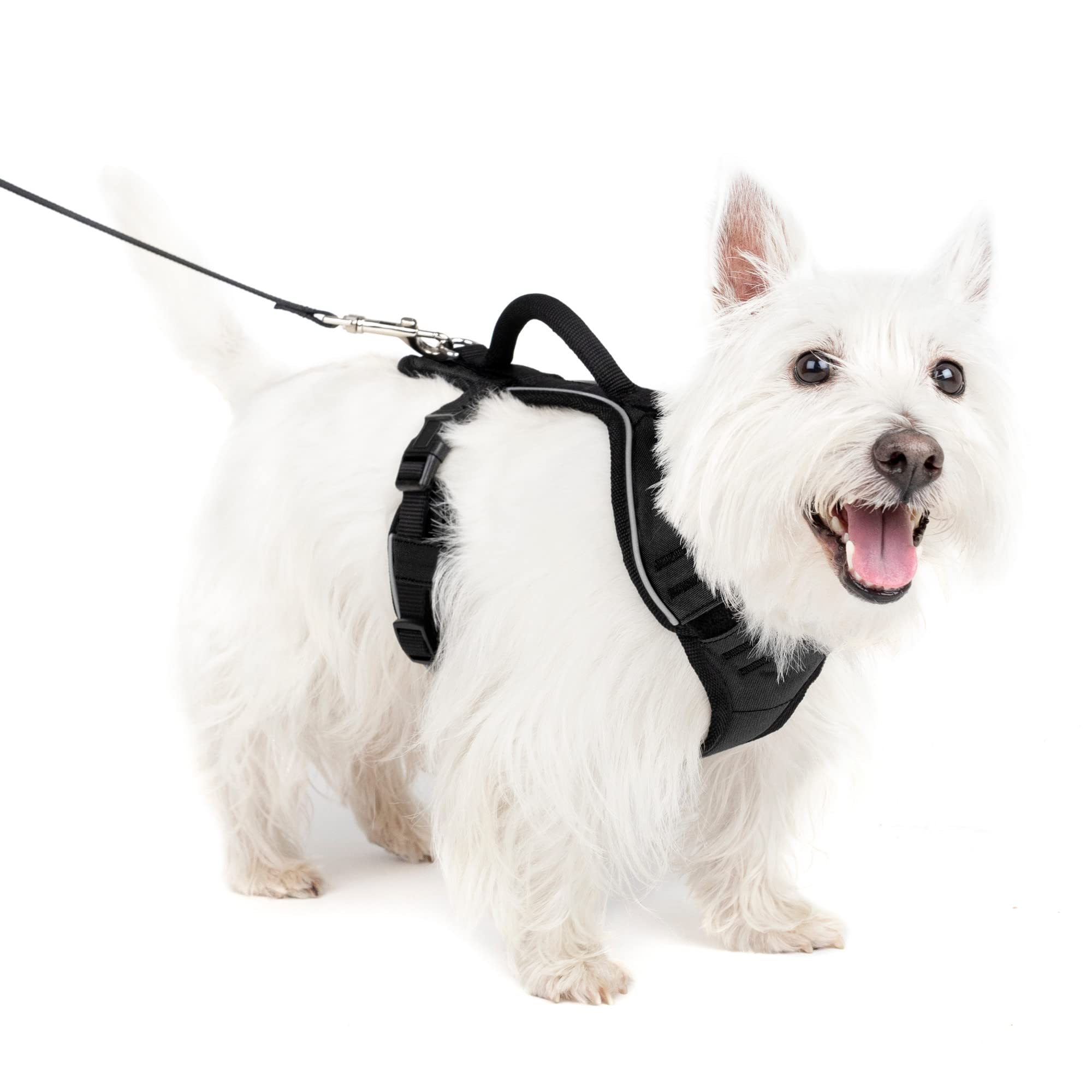 Arnés Para Perros Petsafe Easysport Ajustable, Acolchado Con Asa - Venta Internacional.