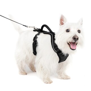 Foto 1 | Arnés Para Perros Petsafe Easysport Ajustable, Acolchado Con Asa - Venta Internacional.
