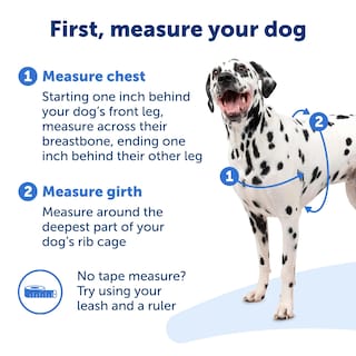 Foto 4 | Arnés Para Perros Petsafe Easy Walk Deluxe No Pull Ocean Blue - Venta Internacional.