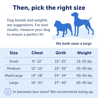 Foto 5 | Arnés Para Perros Petsafe Easy Walk Deluxe No Pull Ocean Blue - Venta Internacional.