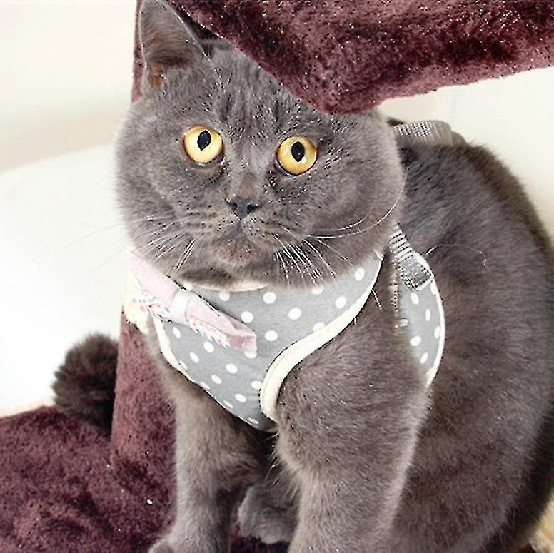 Arnés Torácico Con Cuerda De Tracción Para Mascotas, Tipo Chaleco Antirotura - Venta Internacional.