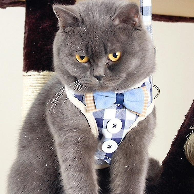 Arnés Torácico Con Cuerda De Tracción Para Mascotas, Tipo Chaleco Antirotura - Venta Internacional.