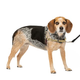 Foto 1 | Arnés Para Perros Petsafe Easy Walk, Sin Tirar, Tamaño Pequeño/mediano, Color Cervatillo Y Marrón - Venta Internacio