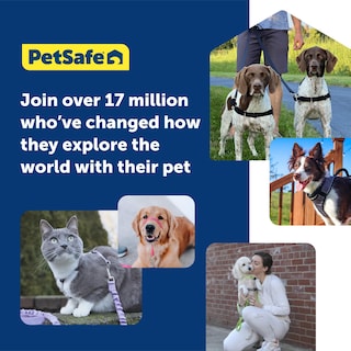 Foto 6 | Arnés Para Perros Petsafe 3 En 1, Sin Tirones, Reflectante, Negro - M - Venta Internacional.