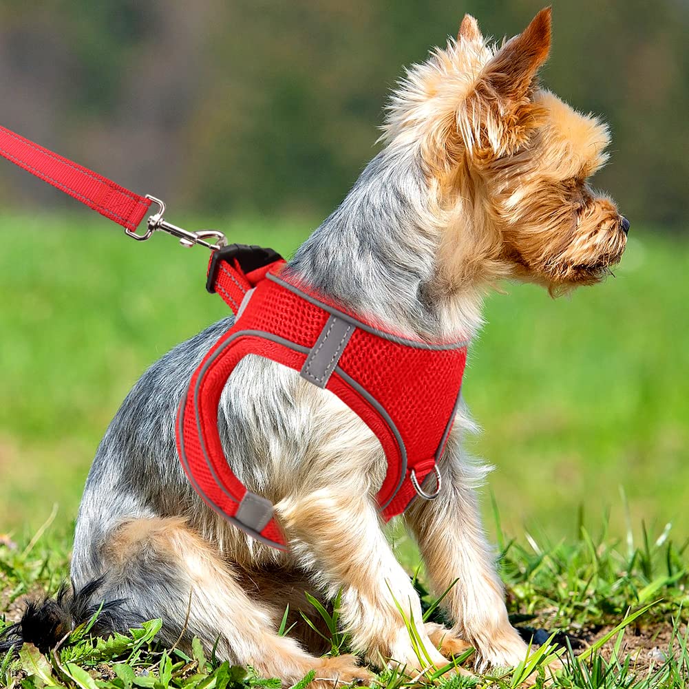 Foto 3 pulgar | Chaleco De Malla Transpirable Joytale Step-in Dog Harness - Venta Internacional.