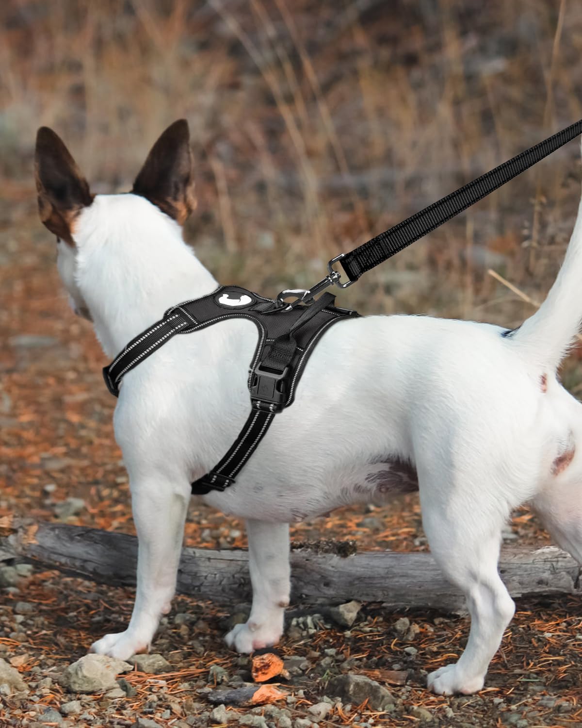 Foto 4 pulgar | Correa Para Perros Joytale De Nailon Reflectante De Doble Cara, 6 Pies - Venta Internacional.