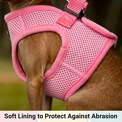 Foto 4 pulgar | Mr. Peanut's Puptrek Small Dog/cat Soft Mesh Step En Harne - Venta Internacional.